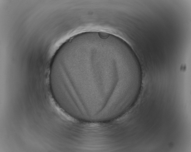 X0000111641507200908071329