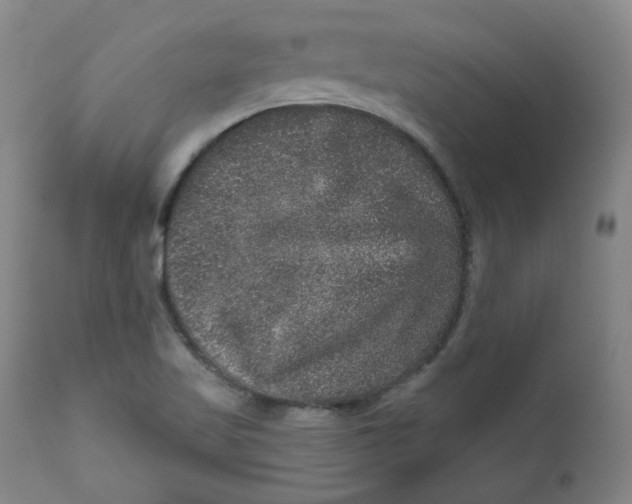 X0000111641509200908071329