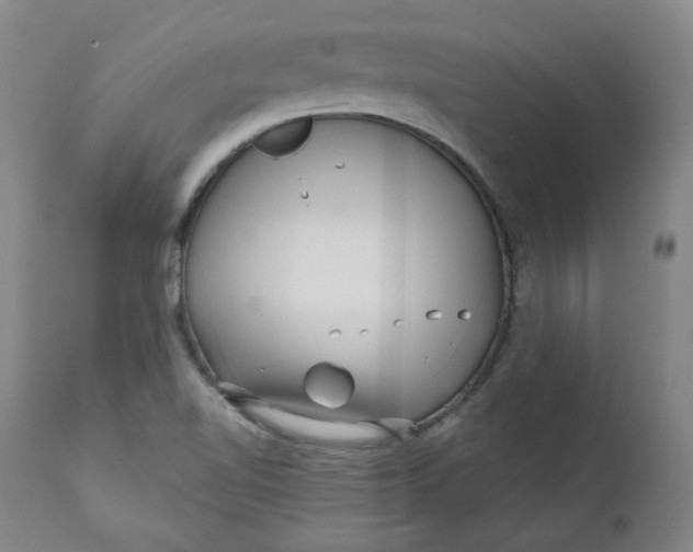 X0000111641510200908071329