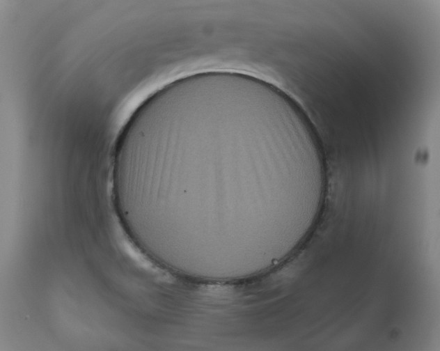 X0000111641511200908071329