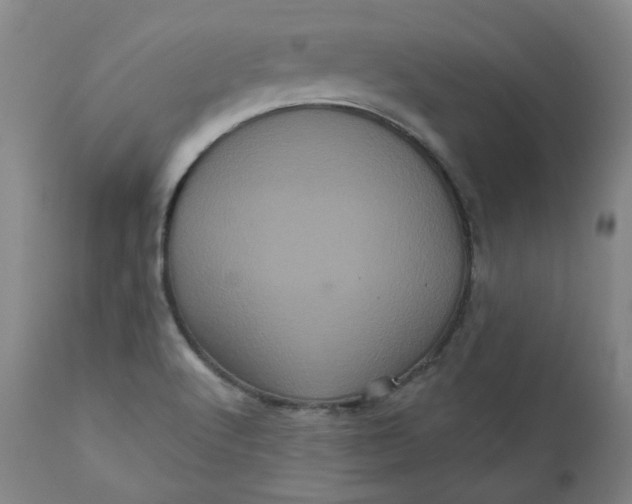 X0000111641512200908071329