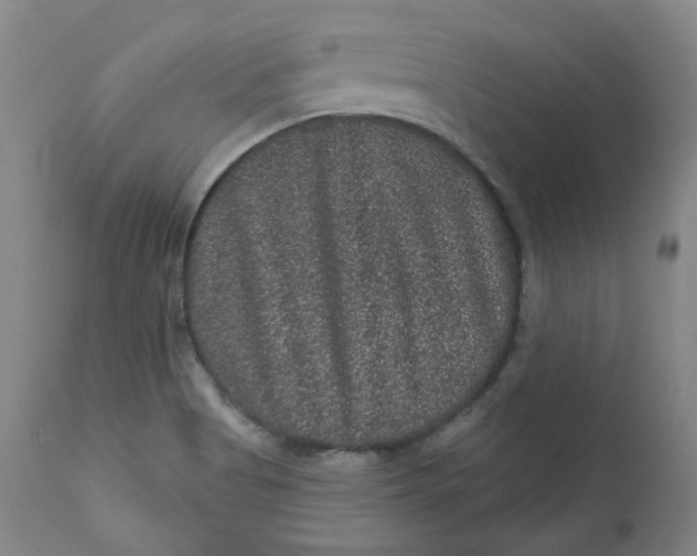 X0000111641513200908071329