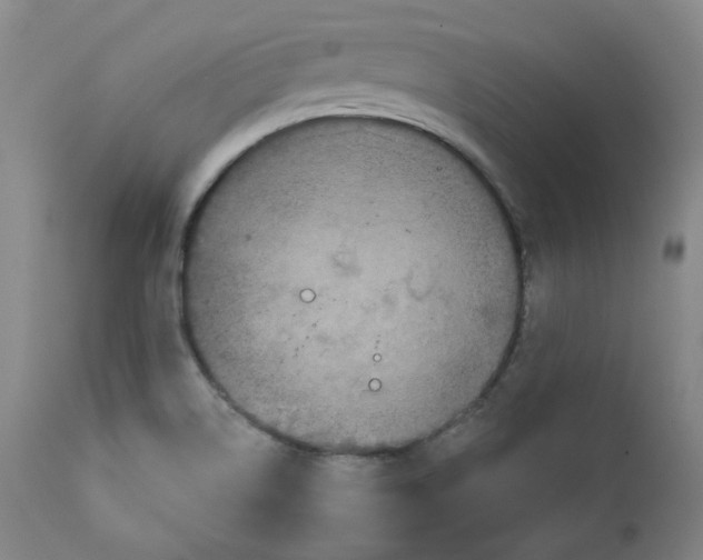 X0000111641514200908071329