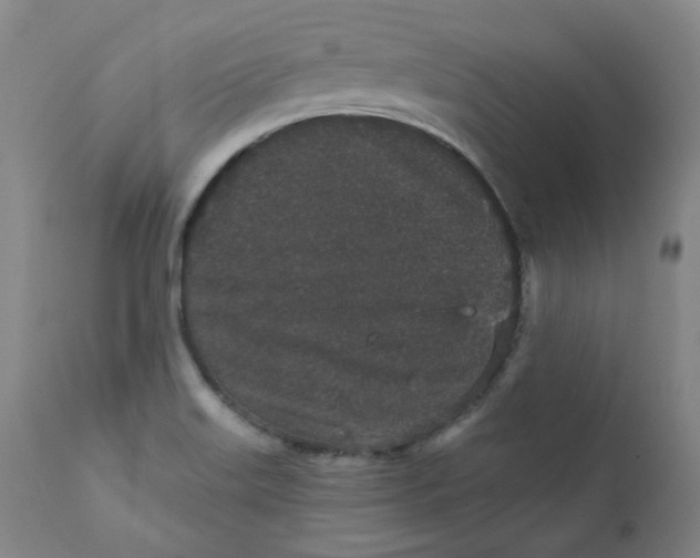 X0000111641515200908071329