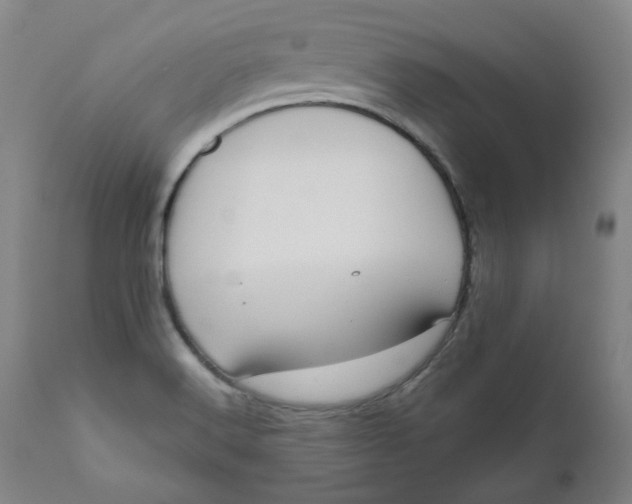 X0000111641516200908071329