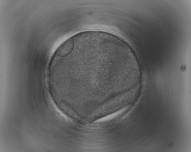 X0000111641517200908071329