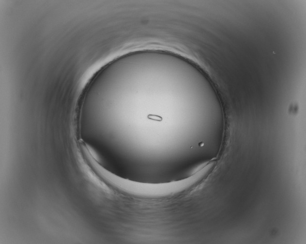 X0000111641518200908071329