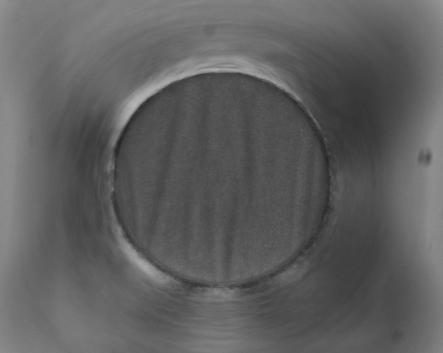 X0000111641519200908071329