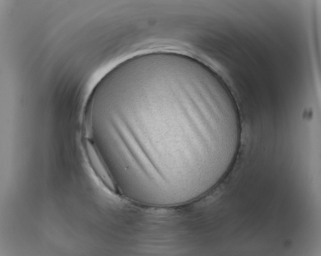 X0000111641520200908071329