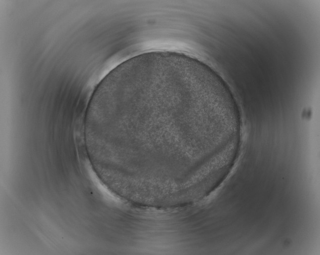 X0000111641521200908071329