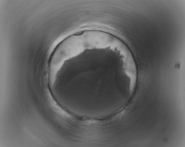 X0000111641522200908071329