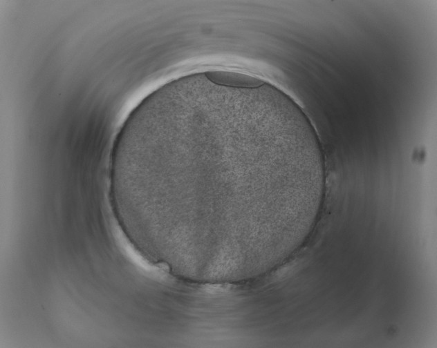 X0000111641523200908071329