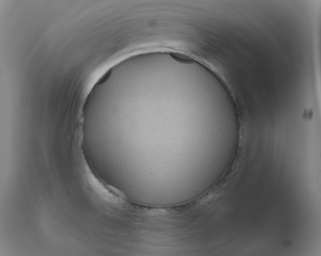 X0000111641524200908071329