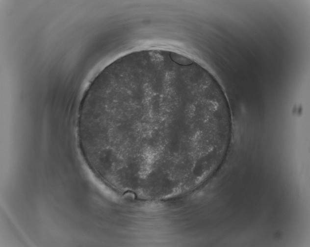 X0000111641525200908071330