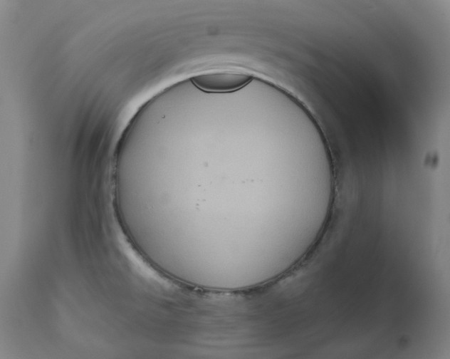 X0000111641526200908071330