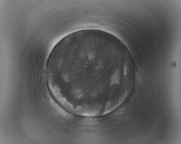 X0000111641527200908071330