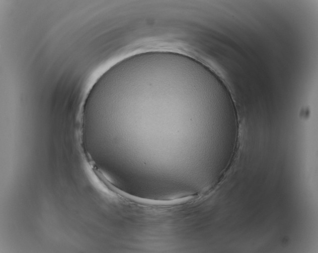 X0000111641528200908071330