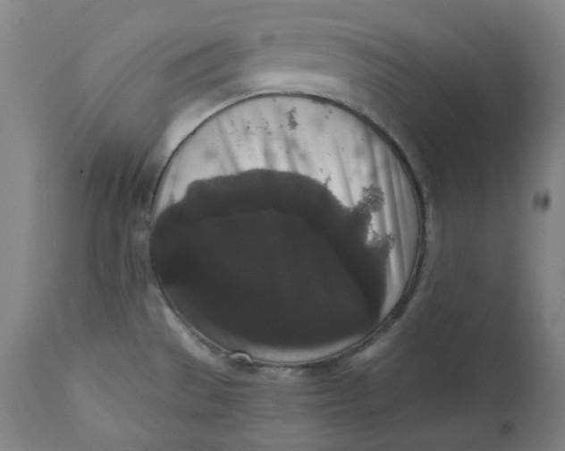 X0000111641529200908071330