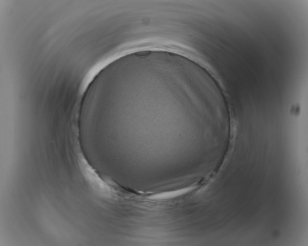 X0000111641530200908071330