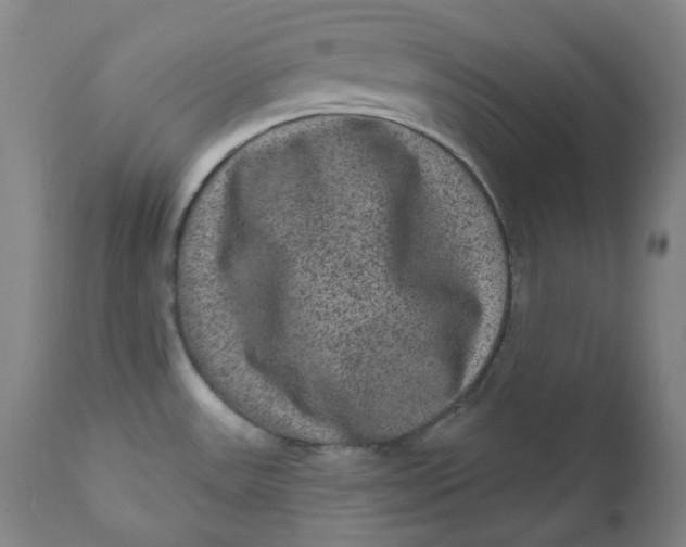 X0000111641531200908071330