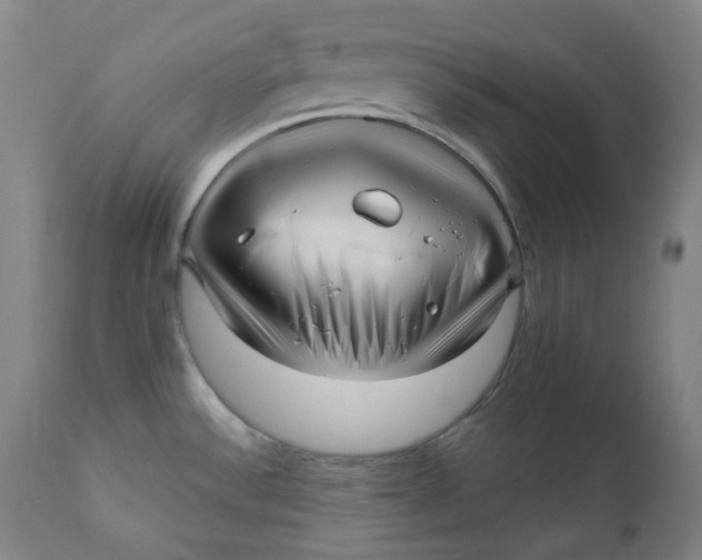 X0000111641532200908071330