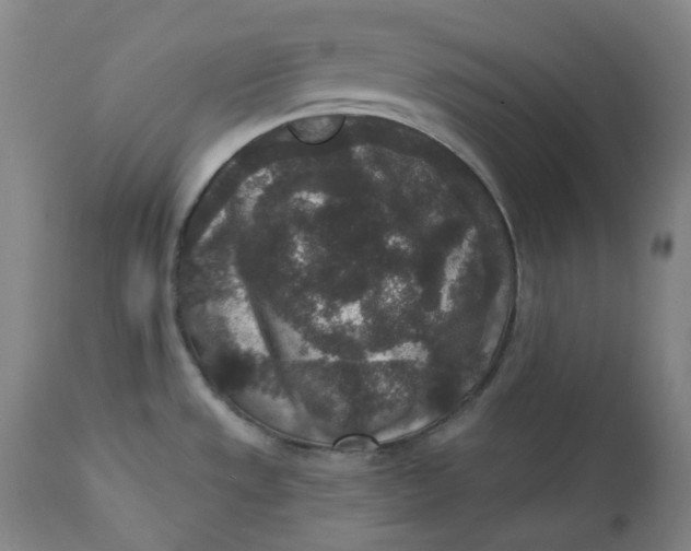 X0000111641533200908071330