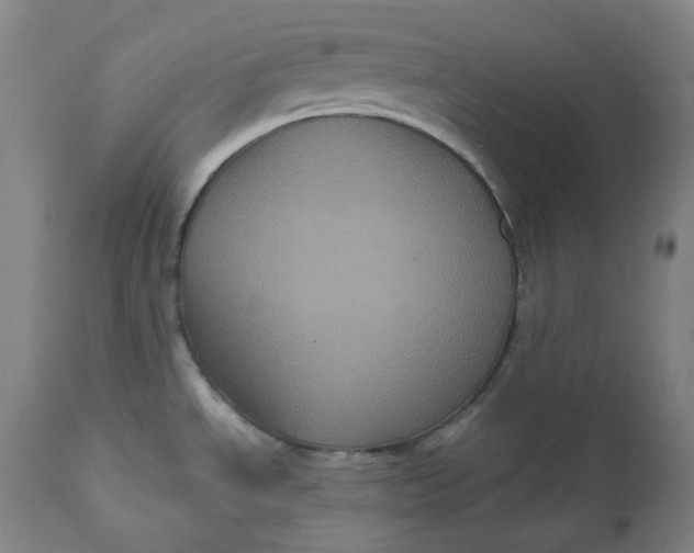 X0000111641534200908071330