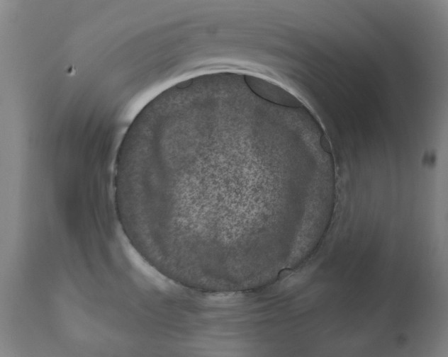 X0000111641535200908071330