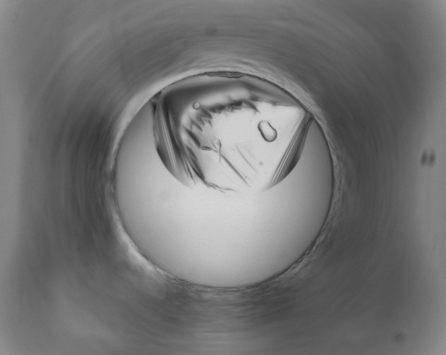 X0000111641536200908071330