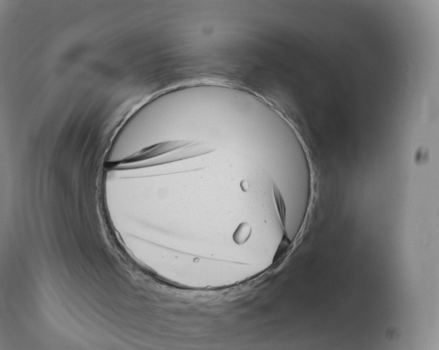 X0000111640001200908141418