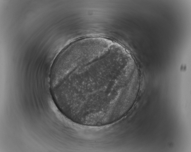X0000111640002200908141418