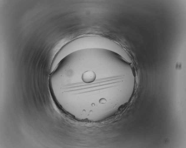 X0000111640003200908141418
