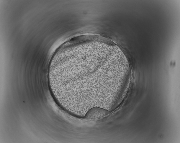 X0000111640004200908141418