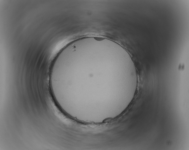 X0000111640005200908141418