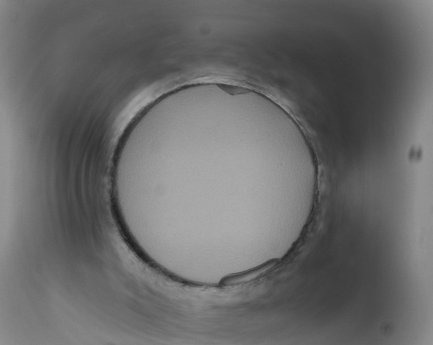 X0000111640007200908141418