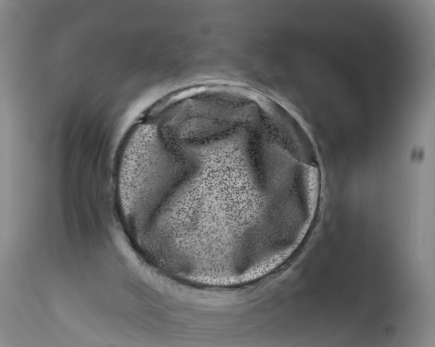 X0000111640008200908141418