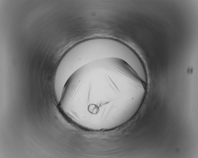 X0000111640009200908141418