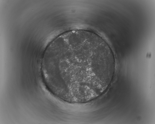 X0000111640010200908141418