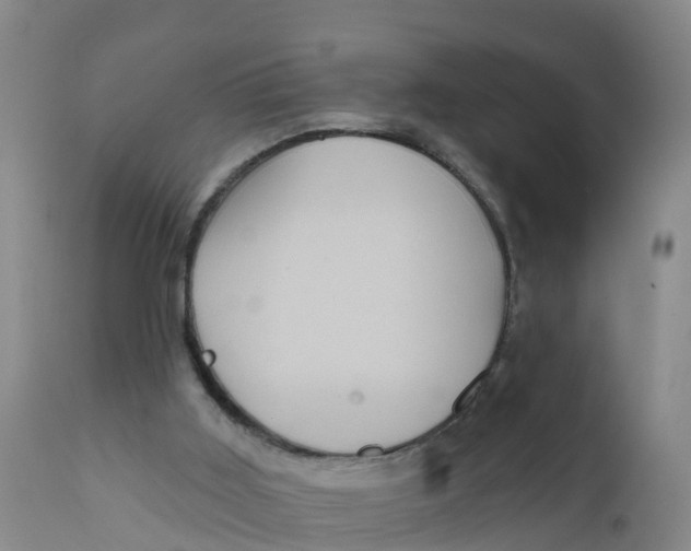 X0000111640011200908141418