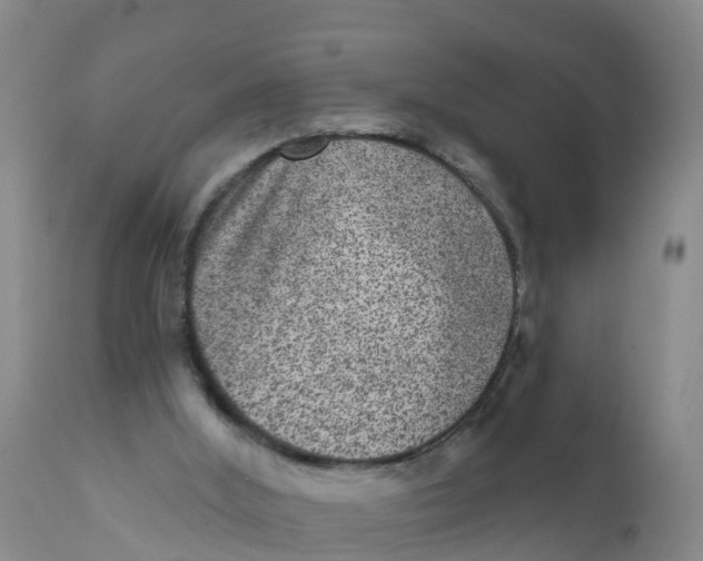 X0000111640012200908141418