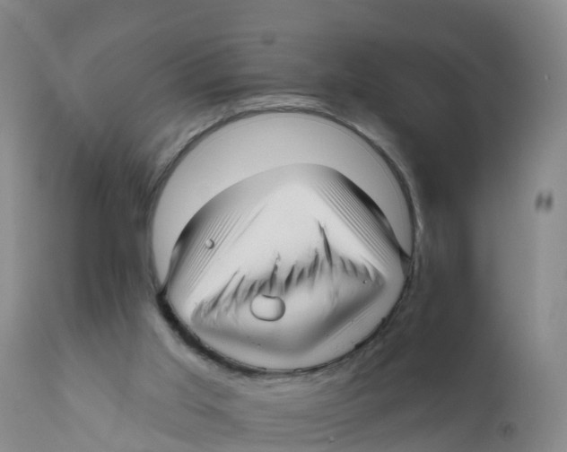 X0000111640013200908141418