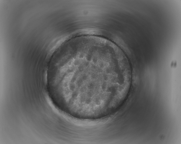 X0000111640014200908141418
