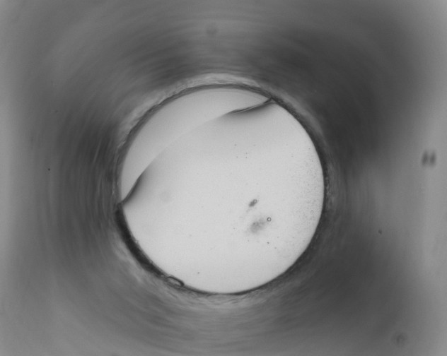X0000111640015200908141418