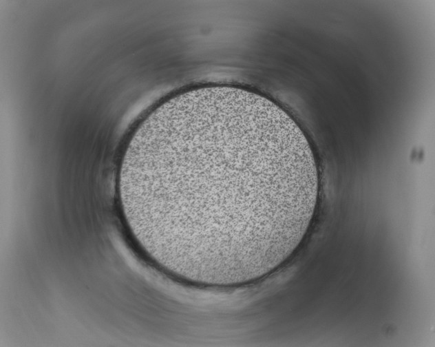 X0000111640016200908141418