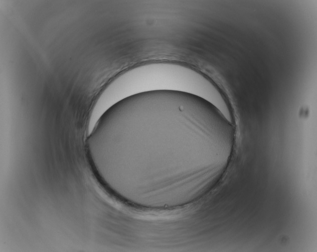 X0000111640017200908141418