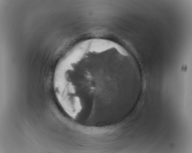 X0000111640018200908141418