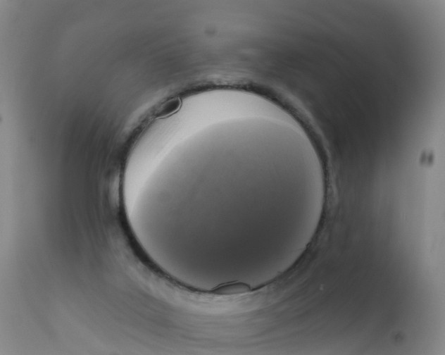 X0000111640019200908141418
