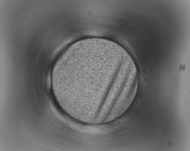 X0000111640020200908141418