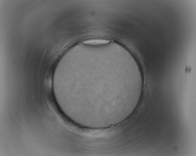 X0000111640021200908141418
