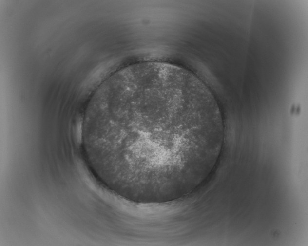 X0000111640022200908141418